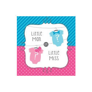 Gender reveal napkins 16pk