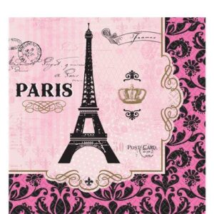 Day in paris beverage napkins 16pk