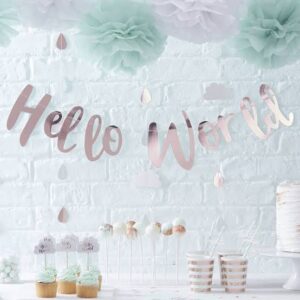 Hello World Foil Banner