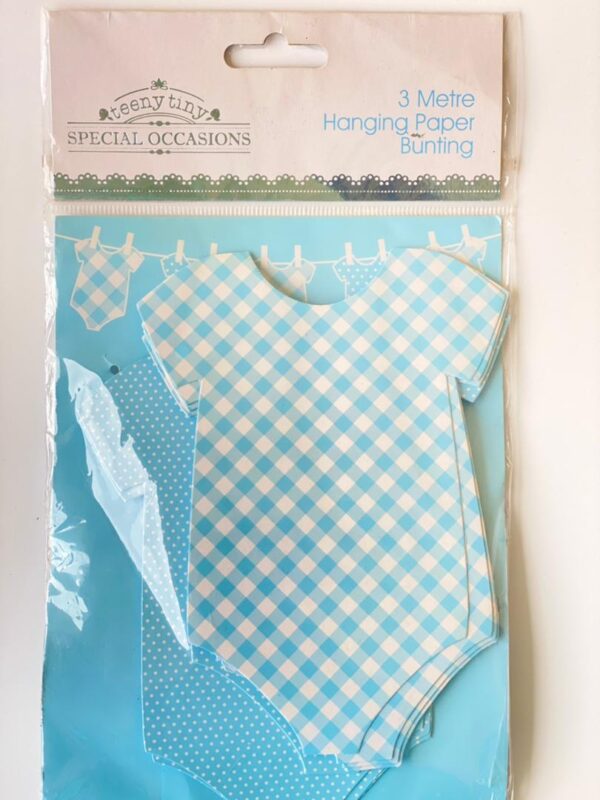 Baby Romper Suit Bunting- Blue