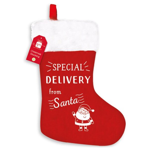 Special Delivery Stocking - 45cm
