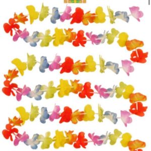Rainbow Lei Bunting