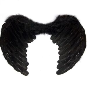 Wings- black