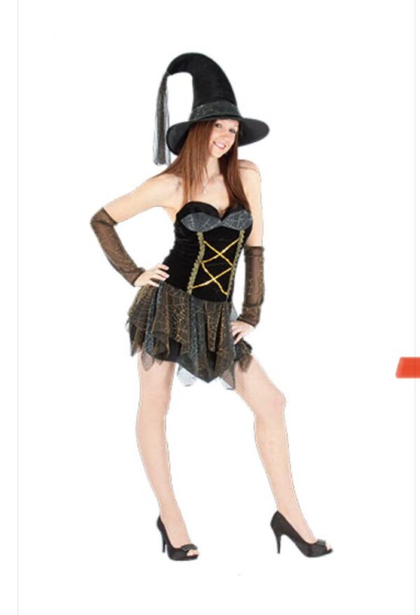 Saucy Witch Costume