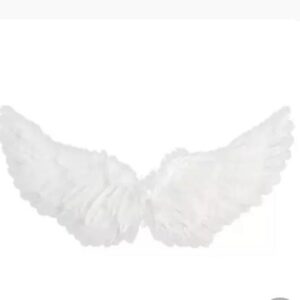 Wings - White